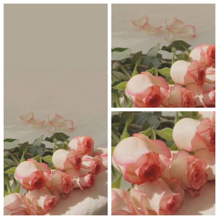 静一静🎤V娱热点