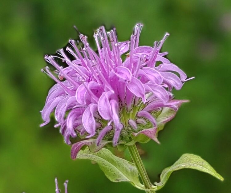 ζ᭄🦋涵钰এ⁵²⁰᭄