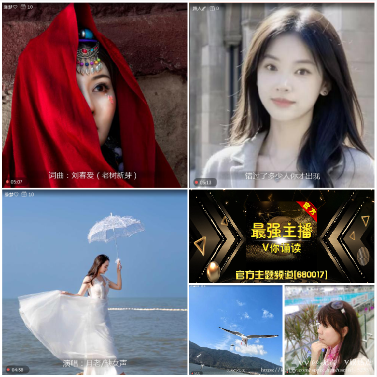 无言🎤V娱热点