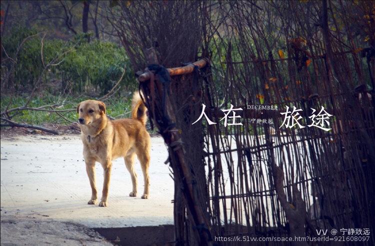 宁静致远