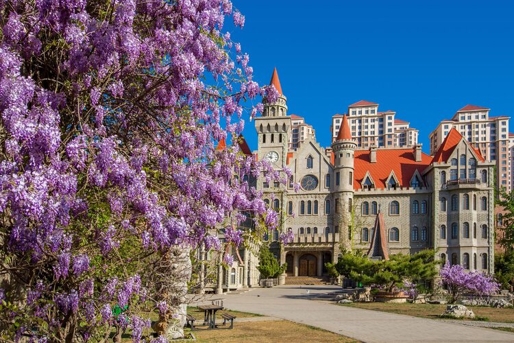 小浅🎤V娱热点