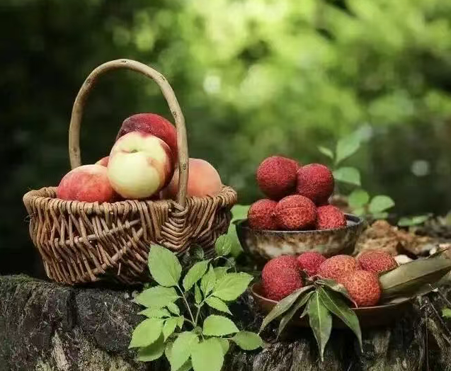 小浅🎤V娱热点