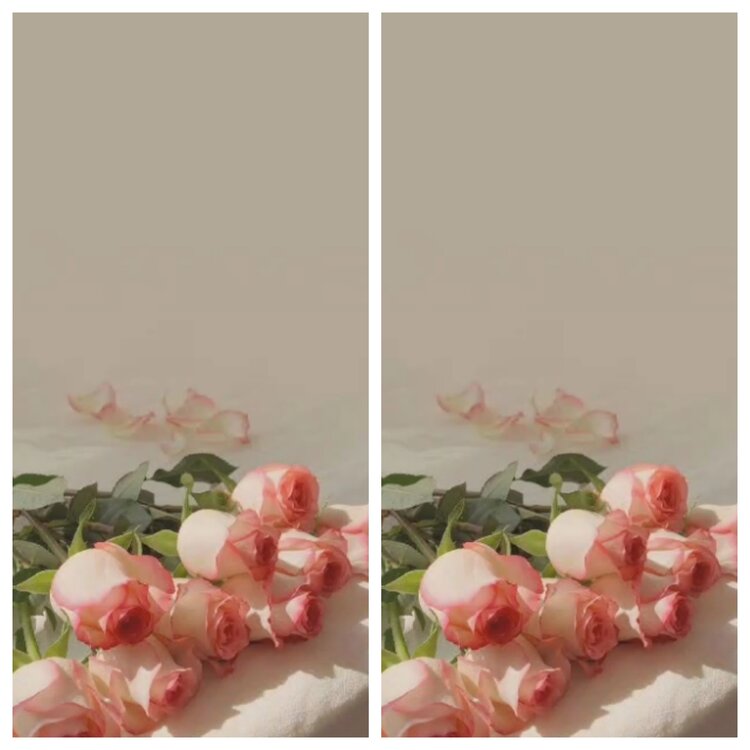 小浅🎤V娱热点