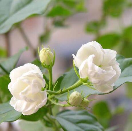 曾经🎤V娱热点