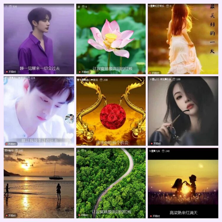 航航🎤V娱热点