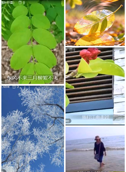 小朵🎤V娱热点