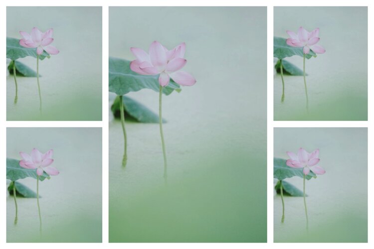 海燕🎤V娱热点