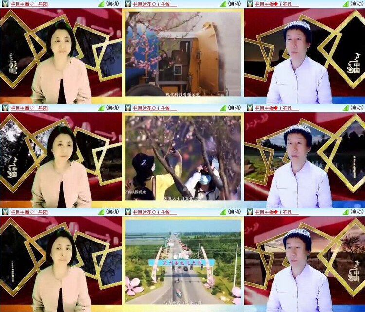 浓茶🎤V娱热点