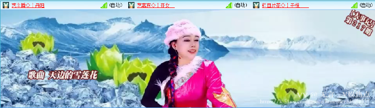 无言🎤V娱热点