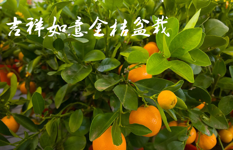 雪儿🎤V娱热点