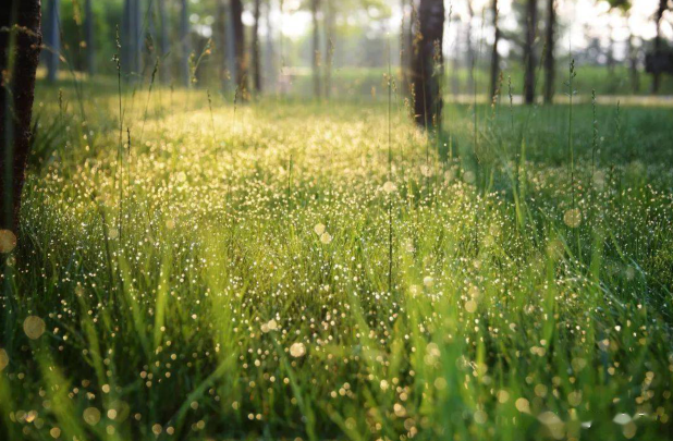 雪儿🎤V娱热点