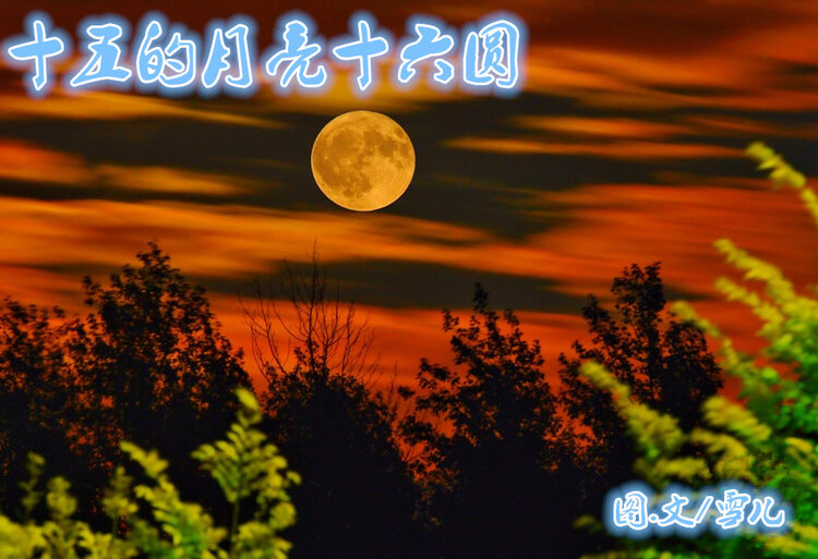 雪儿🎤V娱热点