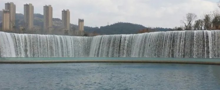 幽兰一箭香(赵放岚)