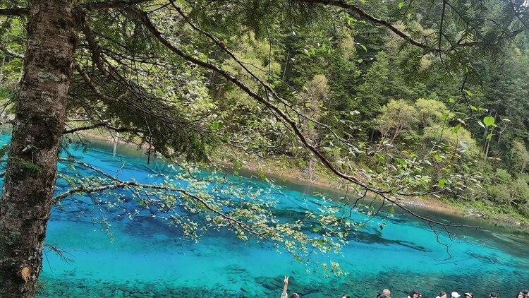 雪儿🎤V娱热点