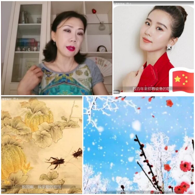 无言🎤V娱热点