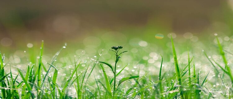 曾经🎤V娱热点