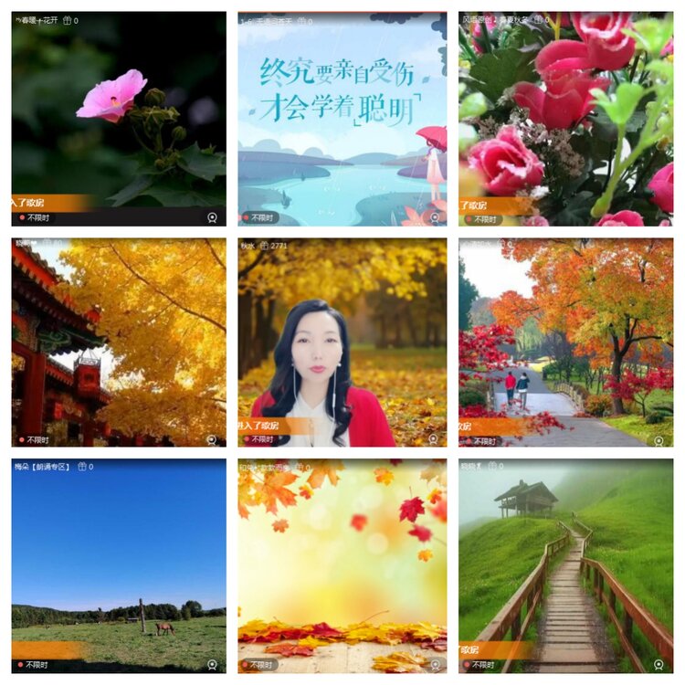 梅香🎤V娱热点