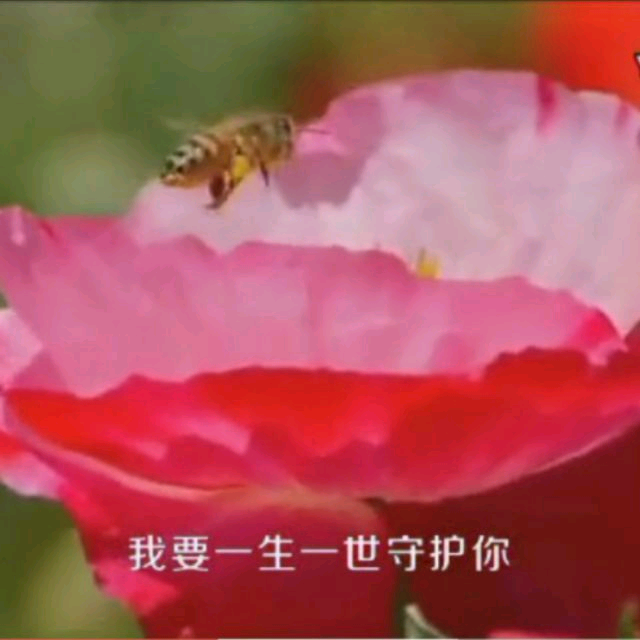 秋风残月