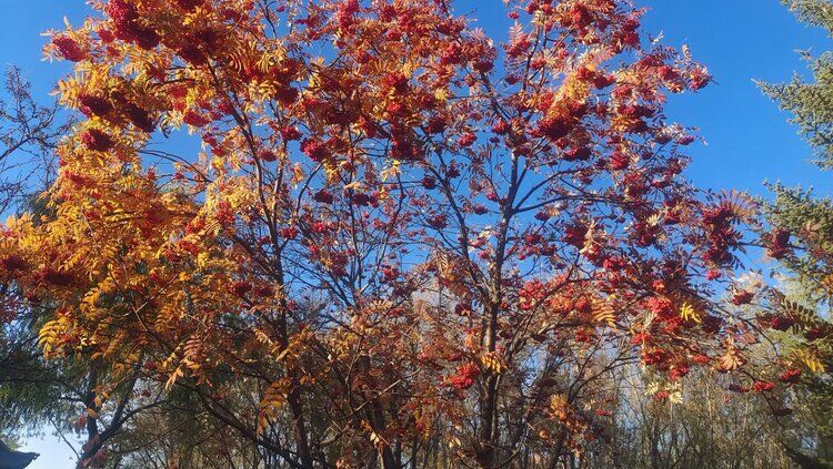 雪儿🎤V娱热点