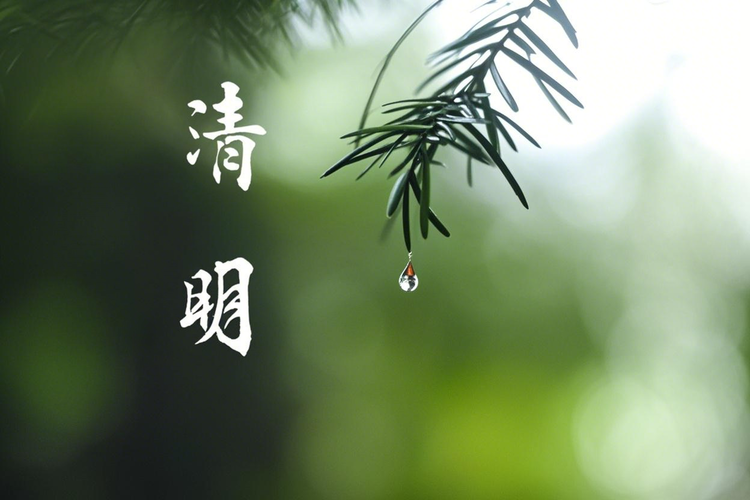 曾经🎤V娱热点