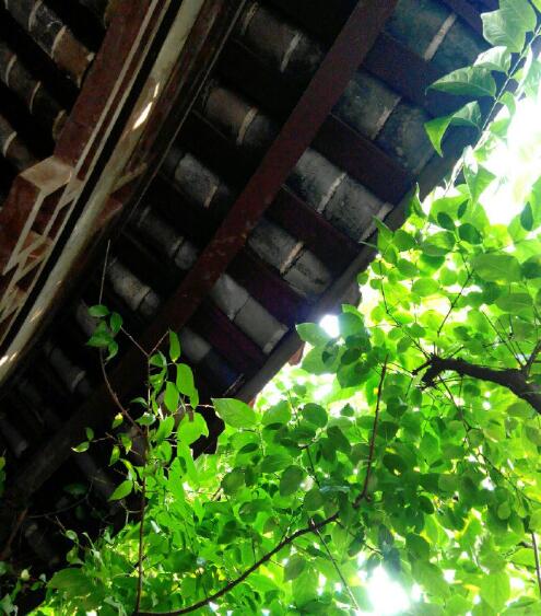 曾经🎤V娱热点