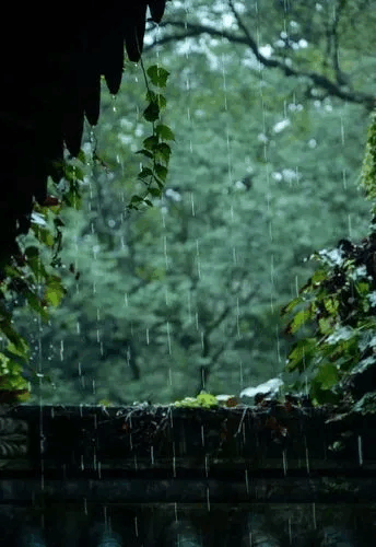 半山聽雨半生醉一隻洞簫心儀憶山雨佳人留隻影只為佳音最情迷半山煙雨