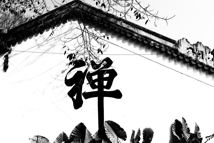 怡然【情暖天涯】