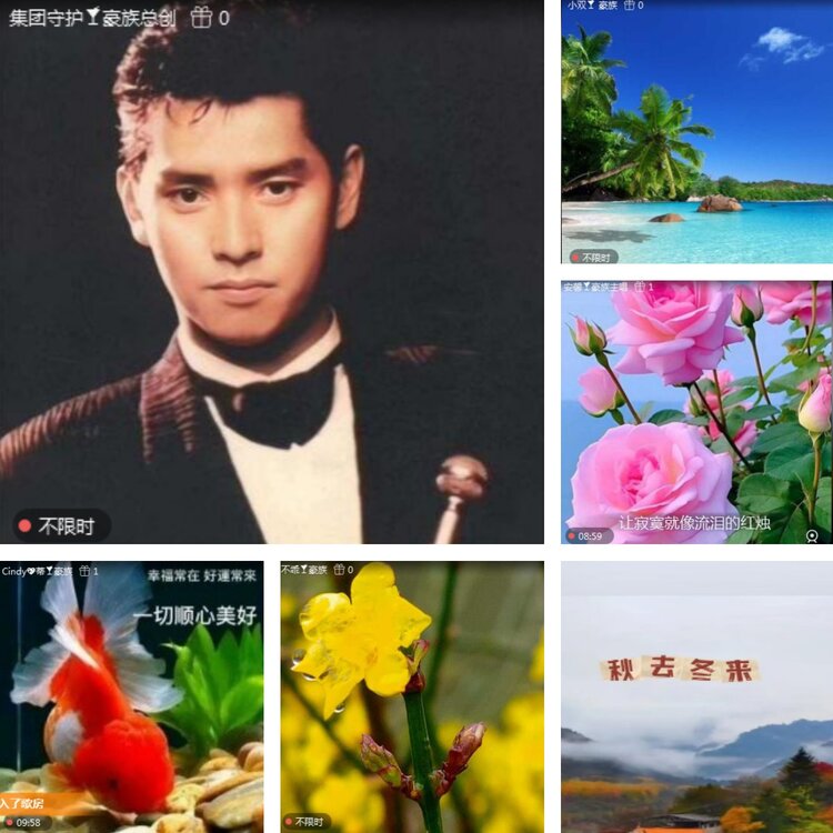 静一静🎤V娱热点