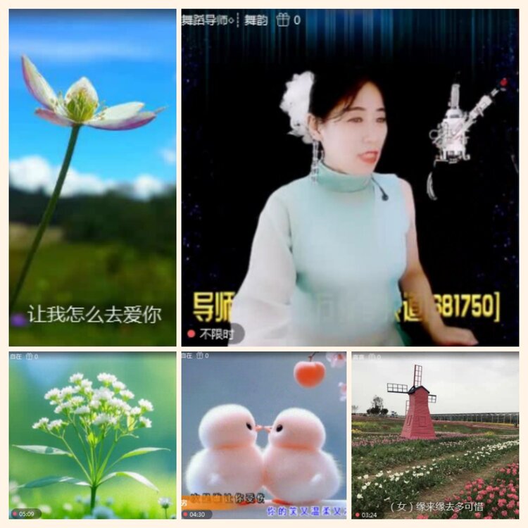 落雪🎤V娱热点