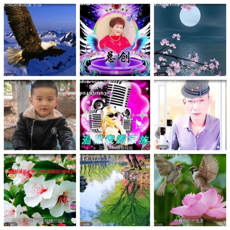 小浅🎤V娱热点