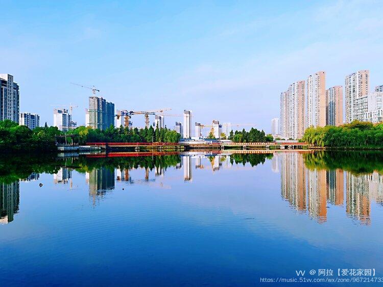 蝶湖公园之晨首发