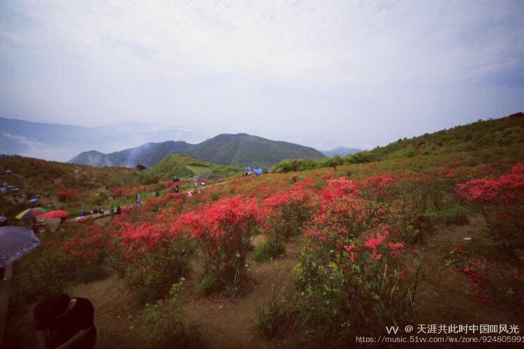 圣井山多高图片