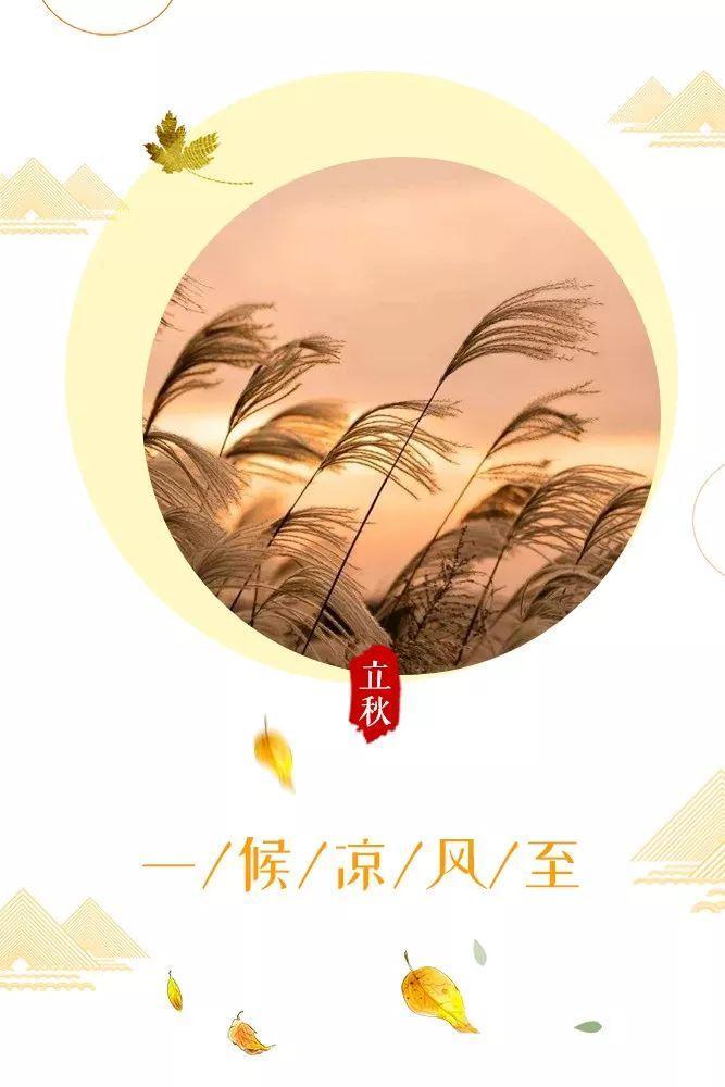 云胡不喜【情暖天涯】 