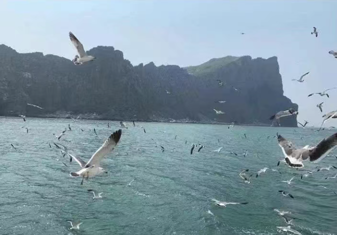 小浅🎤V娱热点