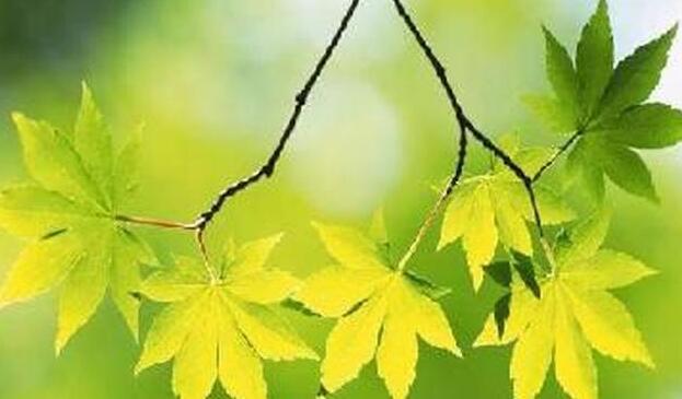 曾经🎤V娱热点