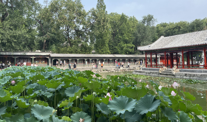 雪儿🎤V娱热点