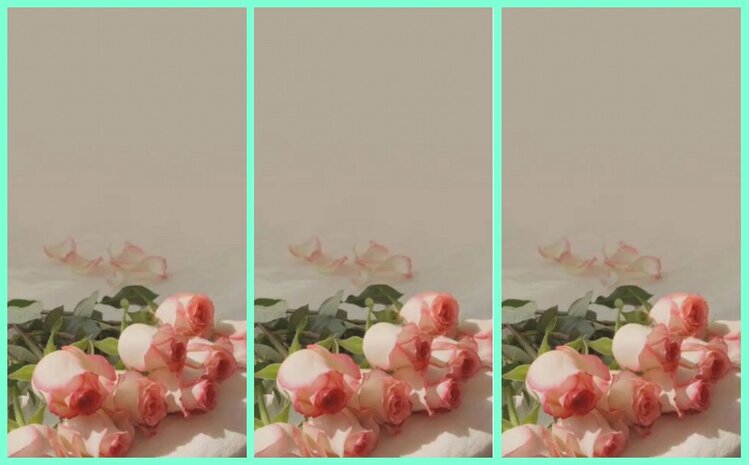 漂泊🎤V娱热点