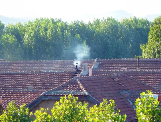 雪儿🎤V娱热点