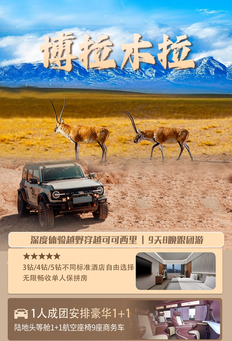 无影无踪