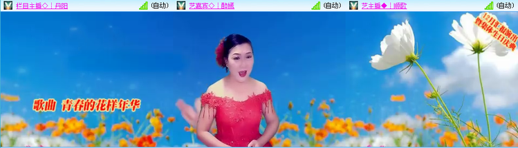 无言🎤V娱热点