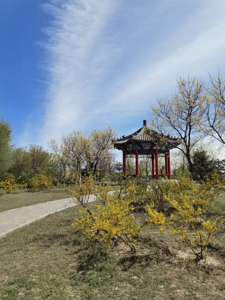 房山红领巾公园风景