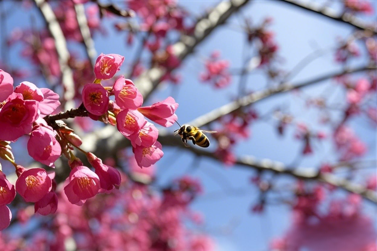 曾经🎤V娱热点