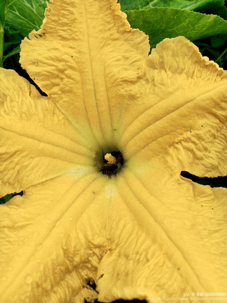 ঞᩚ᭄依琳ที่รัก꧔ꦿ᭄¹