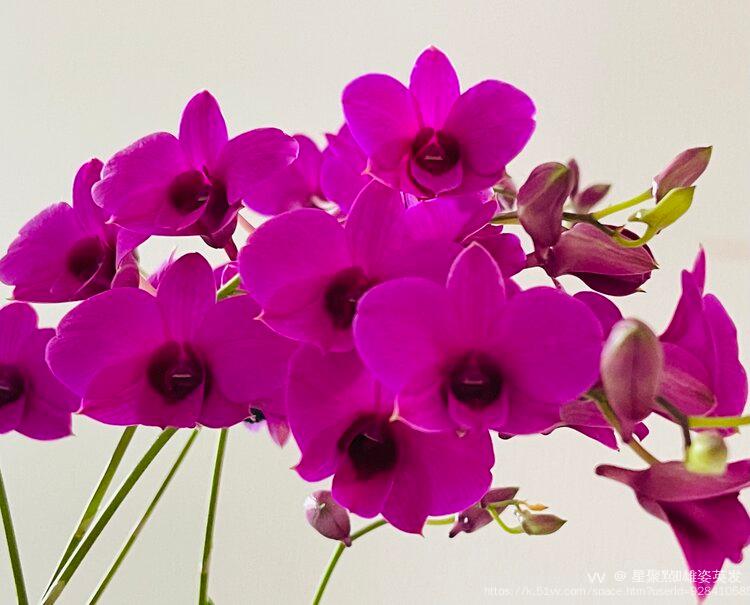 星聚㸃🎆雄姿英发