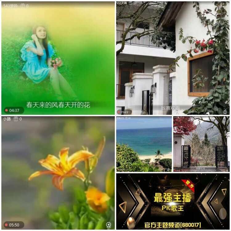 无言🎤V娱热点