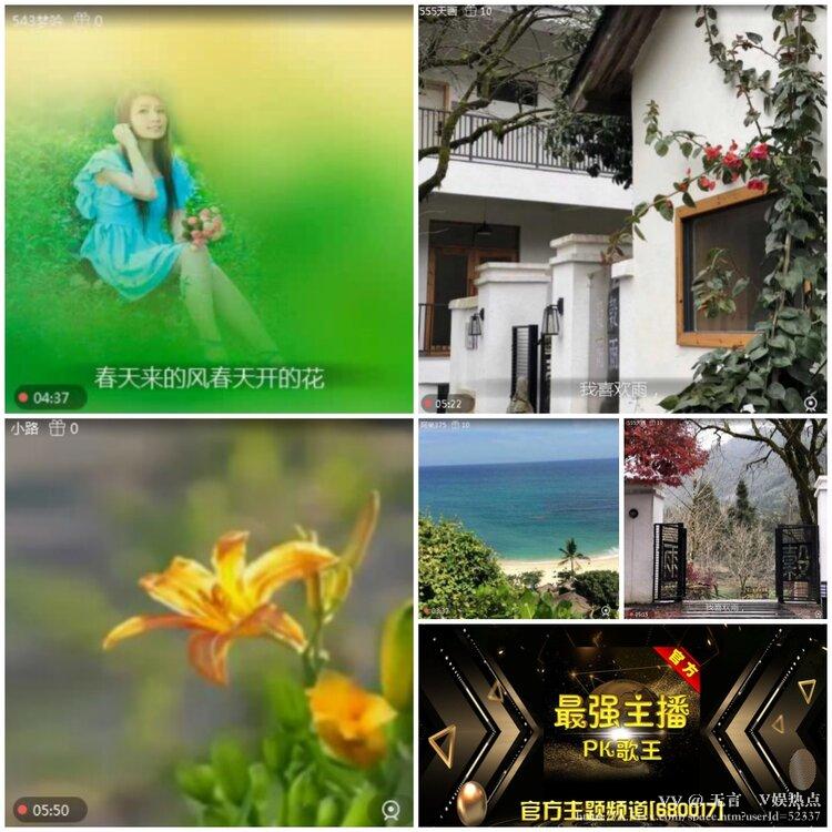 无言🎤V娱热点