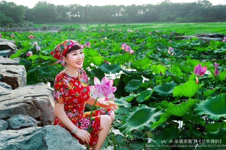 采菊东篱下【兰亭雅韵】