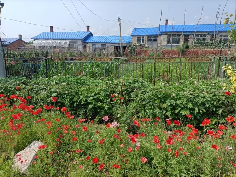 海燕🎤V娱热点