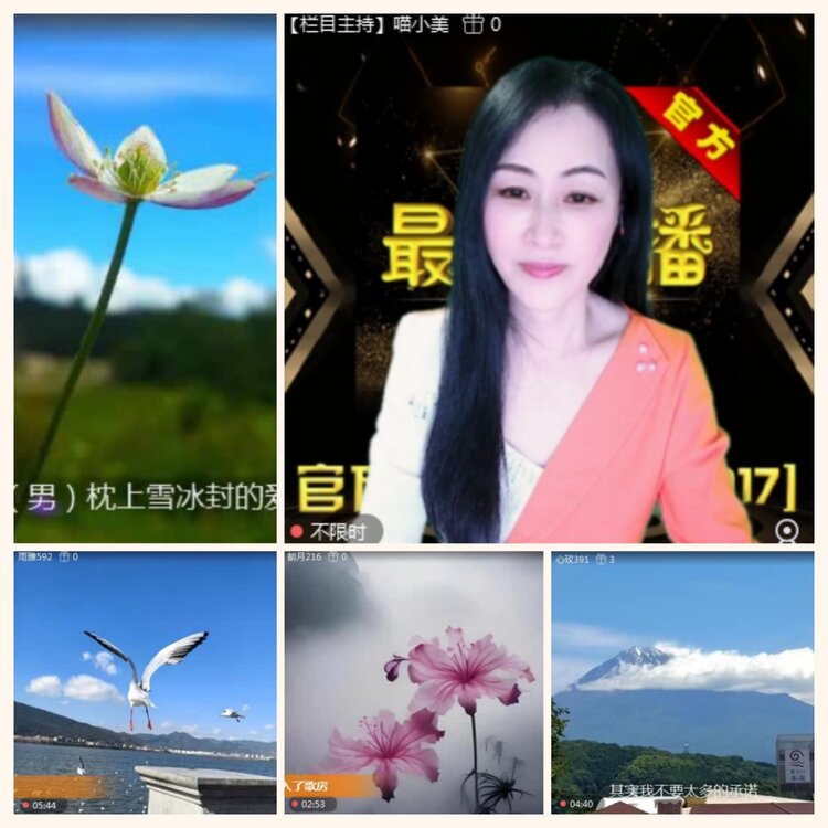 落雪🎤V娱热点