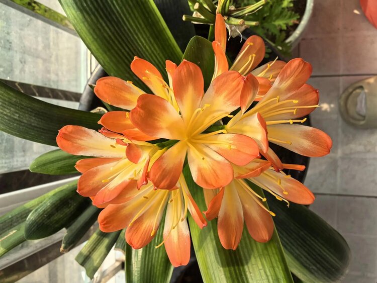 小浅🎤V娱热点